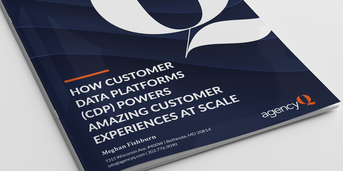 CDP Experience-White Paper Cover-mockup.png